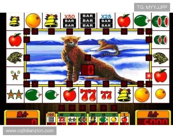 水果老虎机价格表最新版本，详细列出不同型号的价格差异