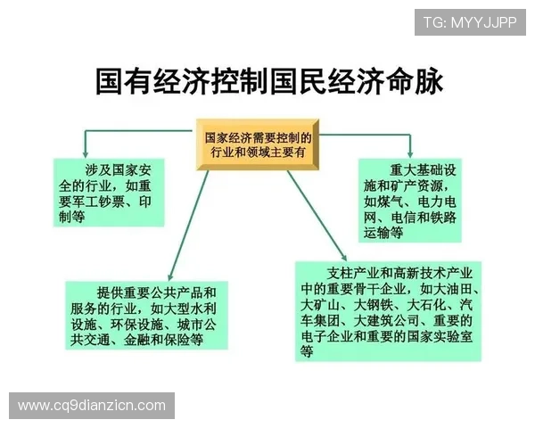 多宝电子集团简介：企业规模、主营产品及行业地位的详细介绍