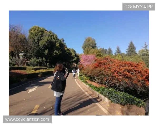 老虎机网娱乐app如何改变你的休闲时光，带你进入全新的娱乐平台